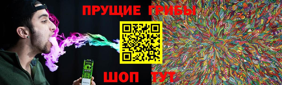 Галлюциногенные грибы MAGIC MUSHROOMS Мичуринск